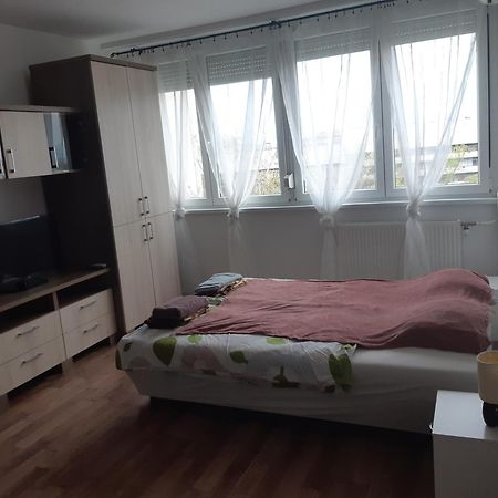 Pillango Parki Kis Lakas 15 Percre A Belvarostol Budapest Exteriör bild